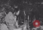 Image of French army nurses WW2 Lessay France, 1944, second 34 stock footage video 65675079367