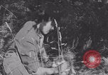 Image of French army nurses WW2 Lessay France, 1944, second 36 stock footage video 65675079367