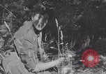 Image of French army nurses WW2 Lessay France, 1944, second 38 stock footage video 65675079367