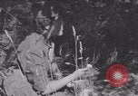 Image of French army nurses WW2 Lessay France, 1944, second 39 stock footage video 65675079367
