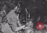 Image of French army nurses WW2 Lessay France, 1944, second 40 stock footage video 65675079367