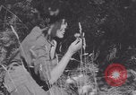 Image of French army nurses WW2 Lessay France, 1944, second 41 stock footage video 65675079367