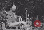 Image of French army nurses WW2 Lessay France, 1944, second 44 stock footage video 65675079367