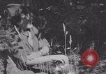 Image of French army nurses WW2 Lessay France, 1944, second 45 stock footage video 65675079367