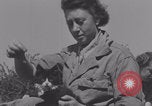 Image of French army nurses WW2 Lessay France, 1944, second 16 stock footage video 65675079368