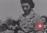 Image of French army nurses WW2 Lessay France, 1944, second 17 stock footage video 65675079368