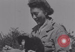 Image of French army nurses WW2 Lessay France, 1944, second 22 stock footage video 65675079368