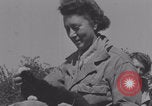 Image of French army nurses WW2 Lessay France, 1944, second 25 stock footage video 65675079368