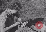 Image of French nurses prepare ambulance Lessay France, 1944, second 41 stock footage video 65675079369