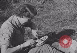 Image of French nurses prepare ambulance Lessay France, 1944, second 42 stock footage video 65675079369