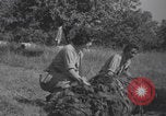 Immagine di Infermieri francesi in campo Lessay Francia, 1944, secondo 21 filmato di repertorio 65675079376