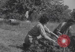 Immagine di Infermieri francesi in campo Lessay Francia, 1944, secondo 25 filmato di repertorio 65675079376