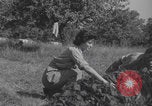 Immagine di Infermieri francesi in campo Lessay Francia, 1944, secondo 26 filmato di repertorio 65675079376