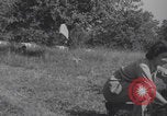 Immagine di Infermieri francesi in campo Lessay Francia, 1944, secondo 32 filmato di repertorio 65675079376