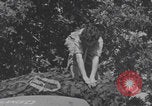 Immagine di Infermieri francesi in campo Lessay Francia, 1944, secondo 37 filmato di repertorio 65675079376