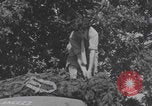 Immagine di Infermieri francesi in campo Lessay Francia, 1944, secondo 38 filmato di repertorio 65675079376