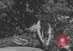 Immagine di Infermieri francesi in campo Lessay Francia, 1944, secondo 40 filmato di repertorio 65675079376