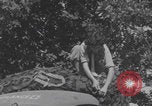 Immagine di Infermieri francesi in campo Lessay Francia, 1944, secondo 41 filmato di repertorio 65675079376
