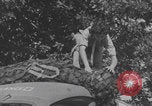 Immagine di Infermieri francesi in campo Lessay Francia, 1944, secondo 55 filmato di repertorio 65675079376