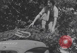 Immagine di Infermieri francesi in campo Lessay Francia, 1944, secondo 56 filmato di repertorio 65675079376