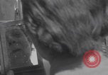 Immagine di L'infermiere francese applica il rossetto Francia, 1944, secondo 27 filmato di repertorio 65675079381