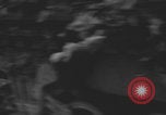 Image of United States soldiers advance Normandy WW2 Normandy France, 1944, second 18 stock footage video 65675079409