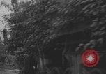 Image of United States soldiers advance Normandy WW2 Normandy France, 1944, second 25 stock footage video 65675079409