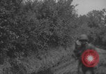 Image of United States soldiers advance Normandy WW2 Normandy France, 1944, second 33 stock footage video 65675079409