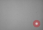 Image of United States soldiers watch sky in Normandy WW2 Normandy France, 1944, second 4 stock footage video 65675079410