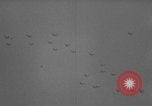Image of United States soldiers watch sky in Normandy WW2 Normandy France, 1944, second 32 stock footage video 65675079410