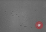 Image of United States soldiers watch sky in Normandy WW2 Normandy France, 1944, second 33 stock footage video 65675079410