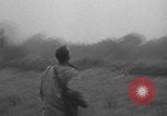 Image of United States soldiers watch sky in Normandy WW2 Normandy France, 1944, second 40 stock footage video 65675079410