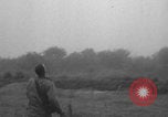 Image of United States soldiers watch sky in Normandy WW2 Normandy France, 1944, second 41 stock footage video 65675079410