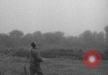 Image of United States soldiers watch sky in Normandy WW2 Normandy France, 1944, second 43 stock footage video 65675079410