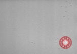 Image of United States soldiers watch sky in Normandy WW2 Normandy France, 1944, second 51 stock footage video 65675079410