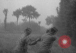 Image of United States soldiers watch sky in Normandy WW2 Normandy France, 1944, second 55 stock footage video 65675079410