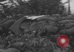 Image of United States soldiers advance in Normandy Normandy France, 1944, second 16 stock footage video 65675079413