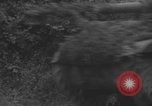 Image of United States soldiers advance in Normandy Normandy France, 1944, second 19 stock footage video 65675079413