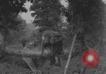 Image of United States soldiers advance in Normandy Normandy France, 1944, second 43 stock footage video 65675079413