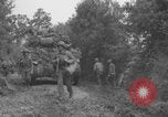 Image of German prisoners searched in Normandy Normandy France, 1944, second 7 stock footage video 65675079414