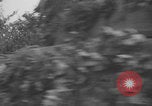 Image of German prisoners searched in Normandy Normandy France, 1944, second 12 stock footage video 65675079414