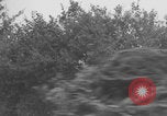 Image of German prisoners searched in Normandy Normandy France, 1944, second 13 stock footage video 65675079414