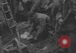 Image of German prisoners searched in Normandy Normandy France, 1944, second 51 stock footage video 65675079414