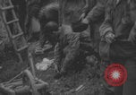 Image of German prisoners searched in Normandy Normandy France, 1944, second 52 stock footage video 65675079414