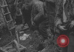 Image of German prisoners searched in Normandy Normandy France, 1944, second 53 stock footage video 65675079414