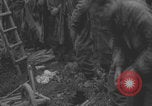 Image of German prisoners searched in Normandy Normandy France, 1944, second 54 stock footage video 65675079414