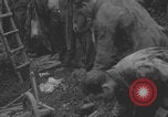 Image of German prisoners searched in Normandy Normandy France, 1944, second 55 stock footage video 65675079414