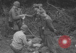 Image of German prisoners searched in Normandy Normandy France, 1944, second 58 stock footage video 65675079414