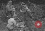 Image of German prisoners searched in Normandy Normandy France, 1944, second 59 stock footage video 65675079414