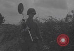 Image of land mine clearing Normandy WW2 Normandy France, 1944, second 8 stock footage video 65675079418